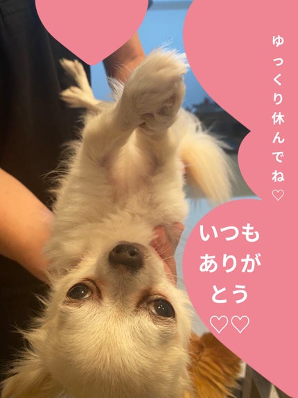 アルフェミニ/アルフェ/美容ドリンクを使ったクチコミ(4枚目)