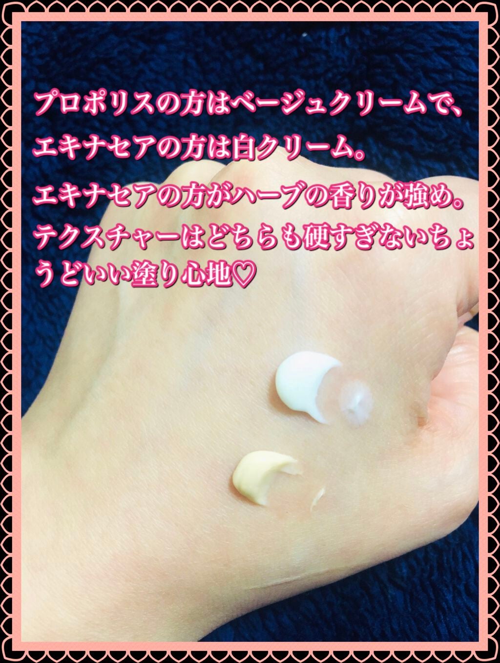 インテンシブ エキナセアクリーム/ARGITAL/フェイスクリームを使ったクチコミ(4枚目)