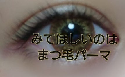 ã䜿ã£ãã¯ãã³ãïŒ1æç®ïŒ