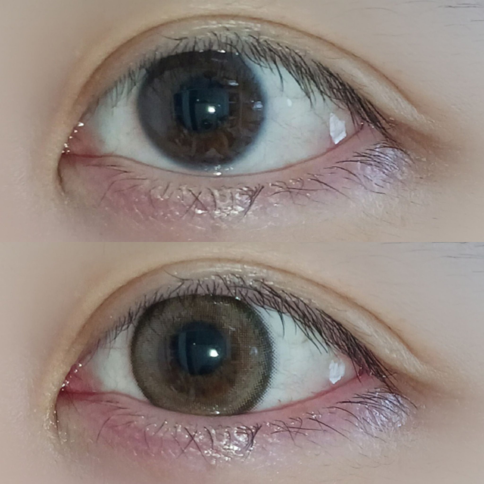 melotte 1day/melotte/ワンデー（１DAY）カラコンを使ったクチコミ（2枚目）