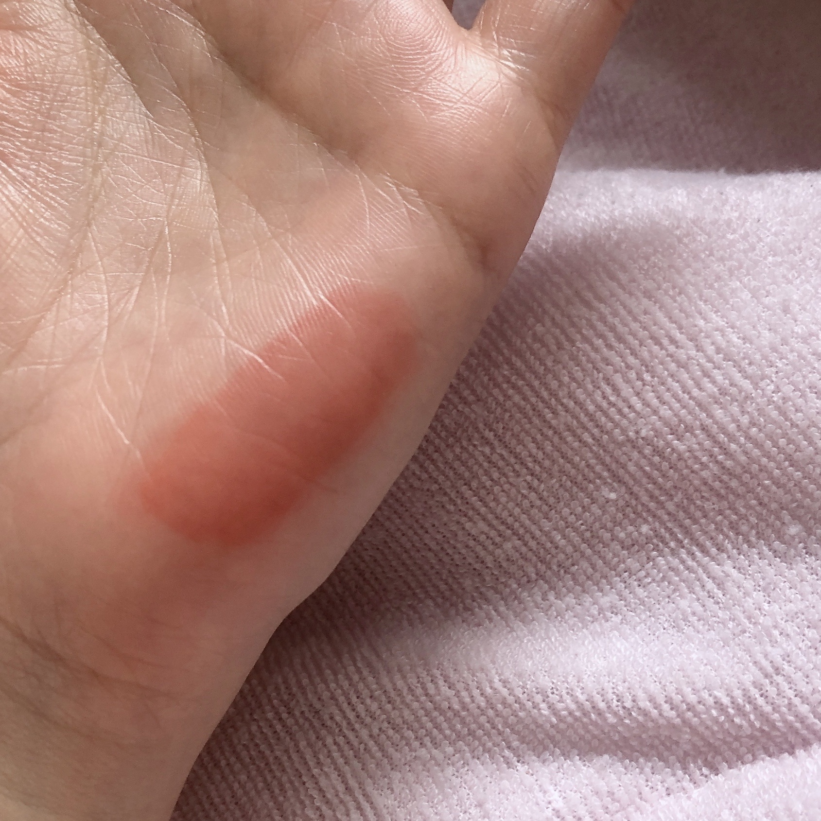 ブラーグロイリップティント 283 パクスロマーナ/Dinto/リップティントを使ったクチコミ（2枚目）