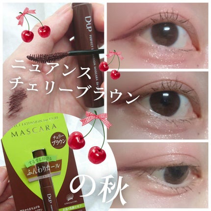 パーフェクトエクステンション マスカラ for カール/D-UP/マスカラを使ったクチコミ(1枚目)