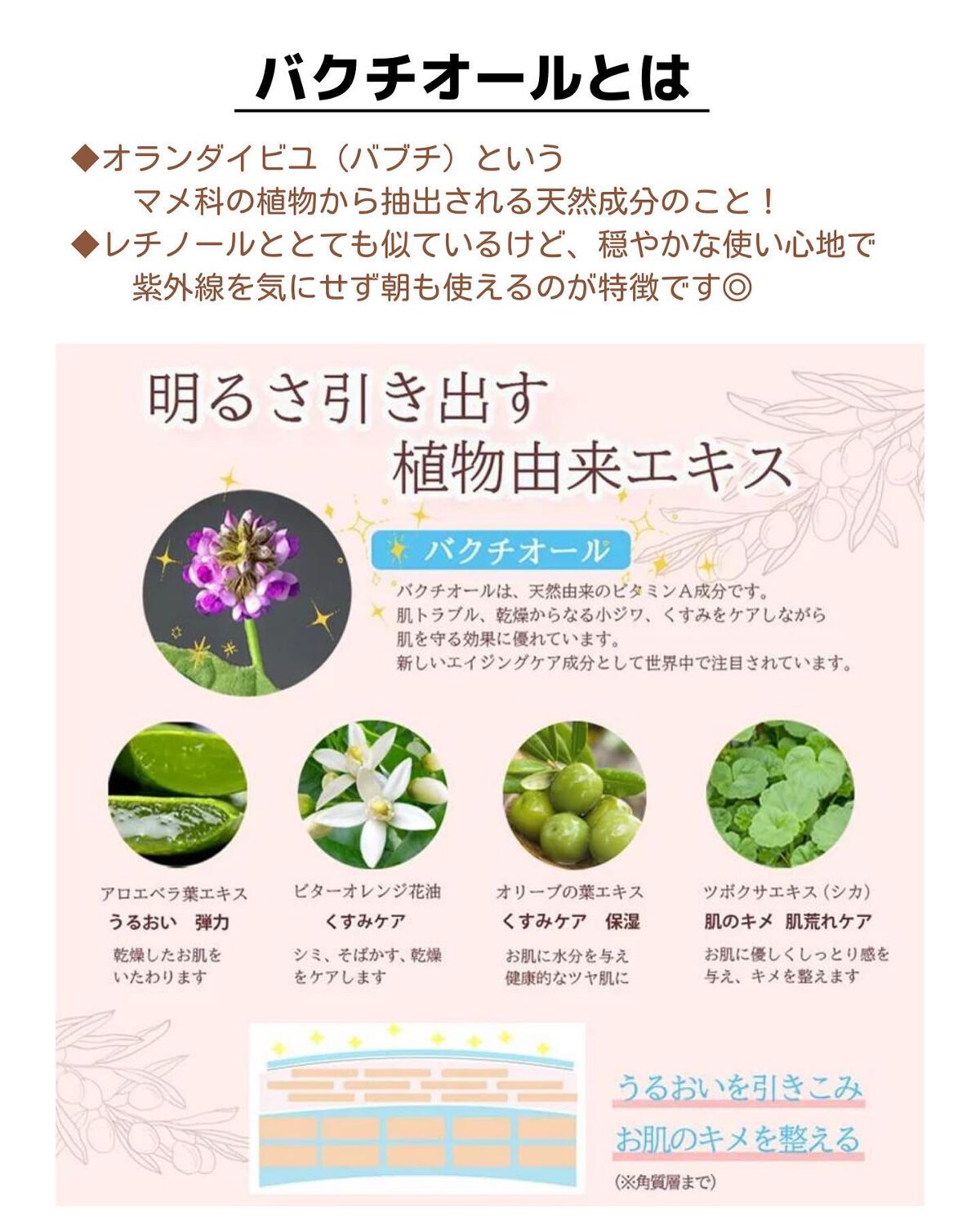 シンビハーブエッセンス/SHINBEE JAPAN /美容液を使ったクチコミ(2枚目)