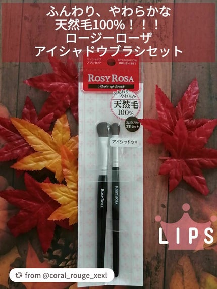 アイシャドウブラシセット/ロージーローザ/メイクブラシを使ったクチコミ(1枚目)