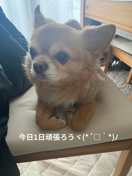 ネイルケアドロップス/noiro/ネイルオイル・トリートメントを使ったクチコミ(9枚目)