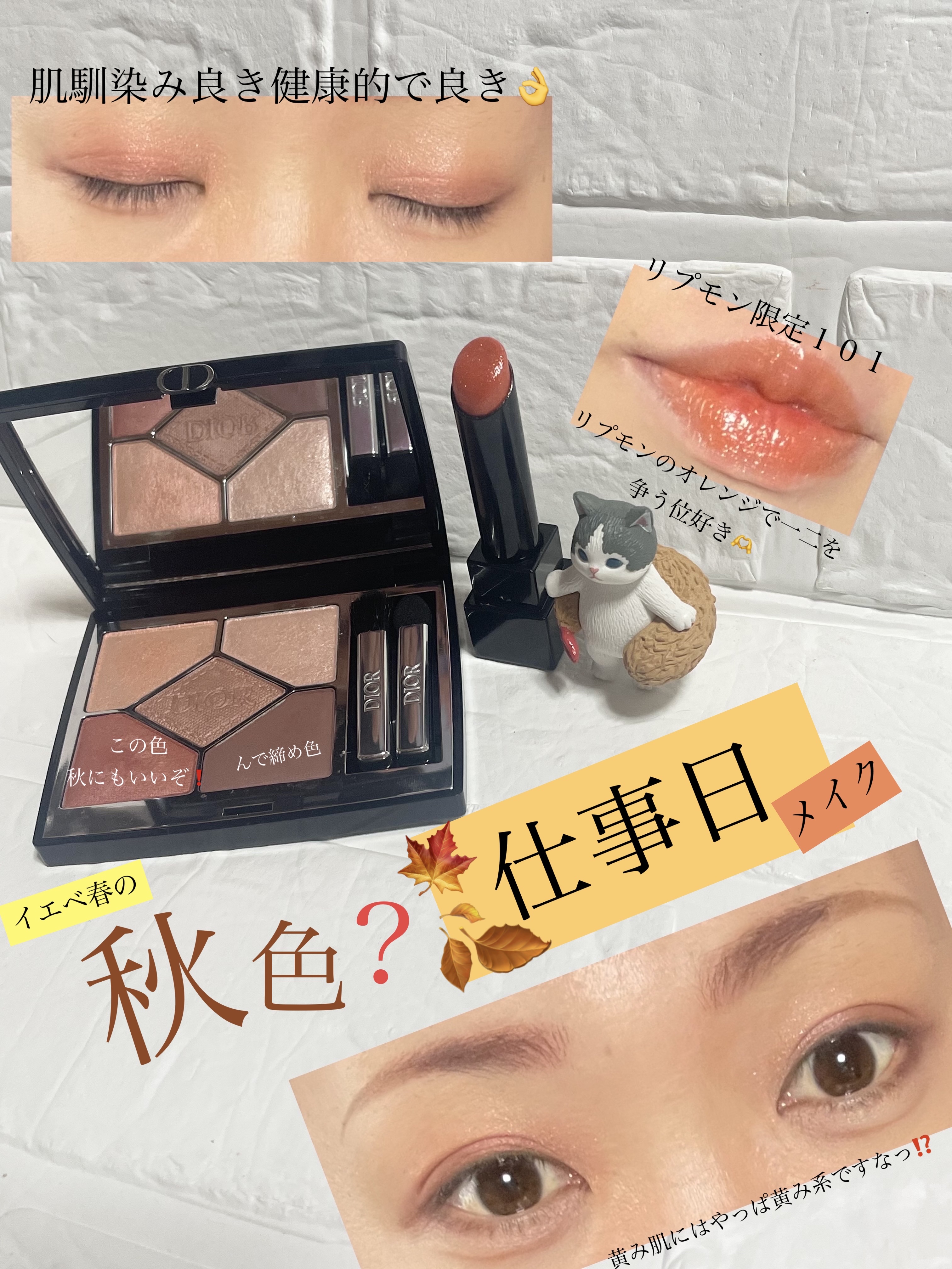 ディオールショウ サンク クルール/Dior/アイシャドウを使ったクチコミ（1枚目）