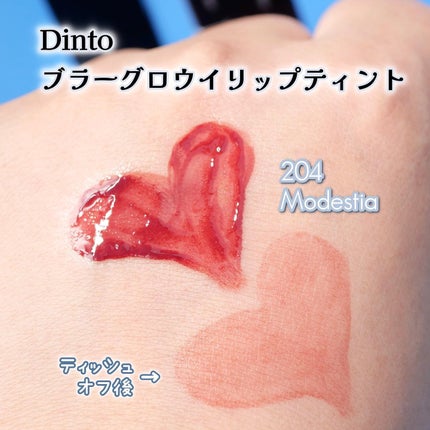 ブラーフィニシュシャドウパレット/Dinto/アイシャドウパレットを使ったクチコミ(8枚目)