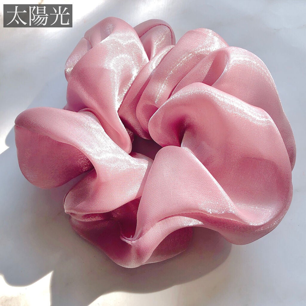 ヘアアクセサリー/DAISO/ヘアアクセサリーを使ったクチコミ(2枚目)