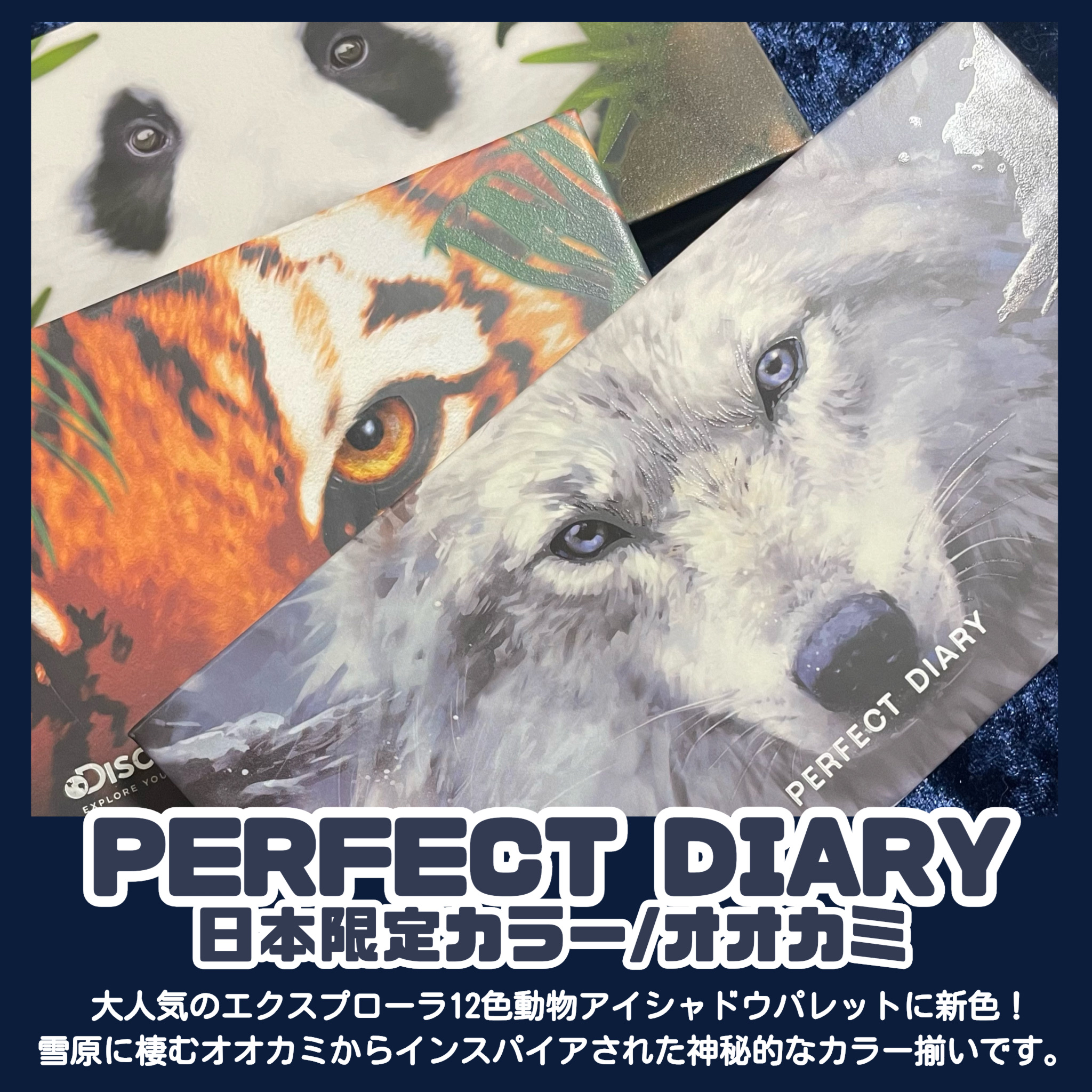 エクスプローラ12色 動物アイシャドウパレット/PERFECT DIARY/アイシャドウパレットを使ったクチコミ（2枚目）