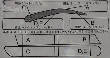 アイブロウ クリエイティブパレット/IPSA/パウダーアイブロウを使ったクチコミ（3枚目）