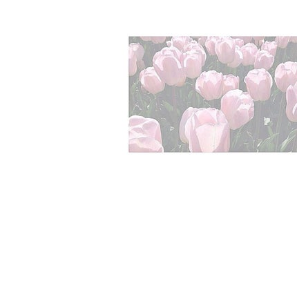 DHC ビタミンCハードカプセル/DHC/美容サプリメントを使ったクチコミ(1枚目)