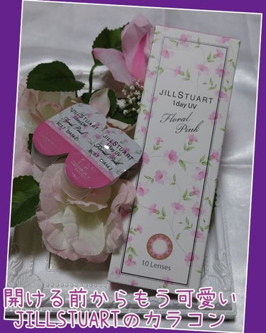 JILL STUART 1day UV/JILL STUART/ワンデー（１DAY）カラコンを使ったクチコミ（1枚目）