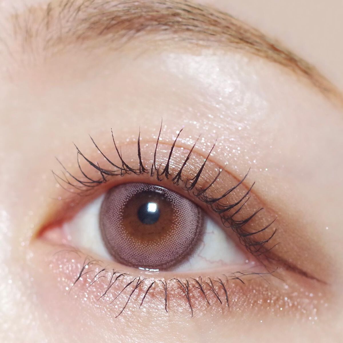 Angelcolor Bambi Series 1day /AngelColor/ワンデー(1DAY)カラコンを使ったクチコミ(4枚目)