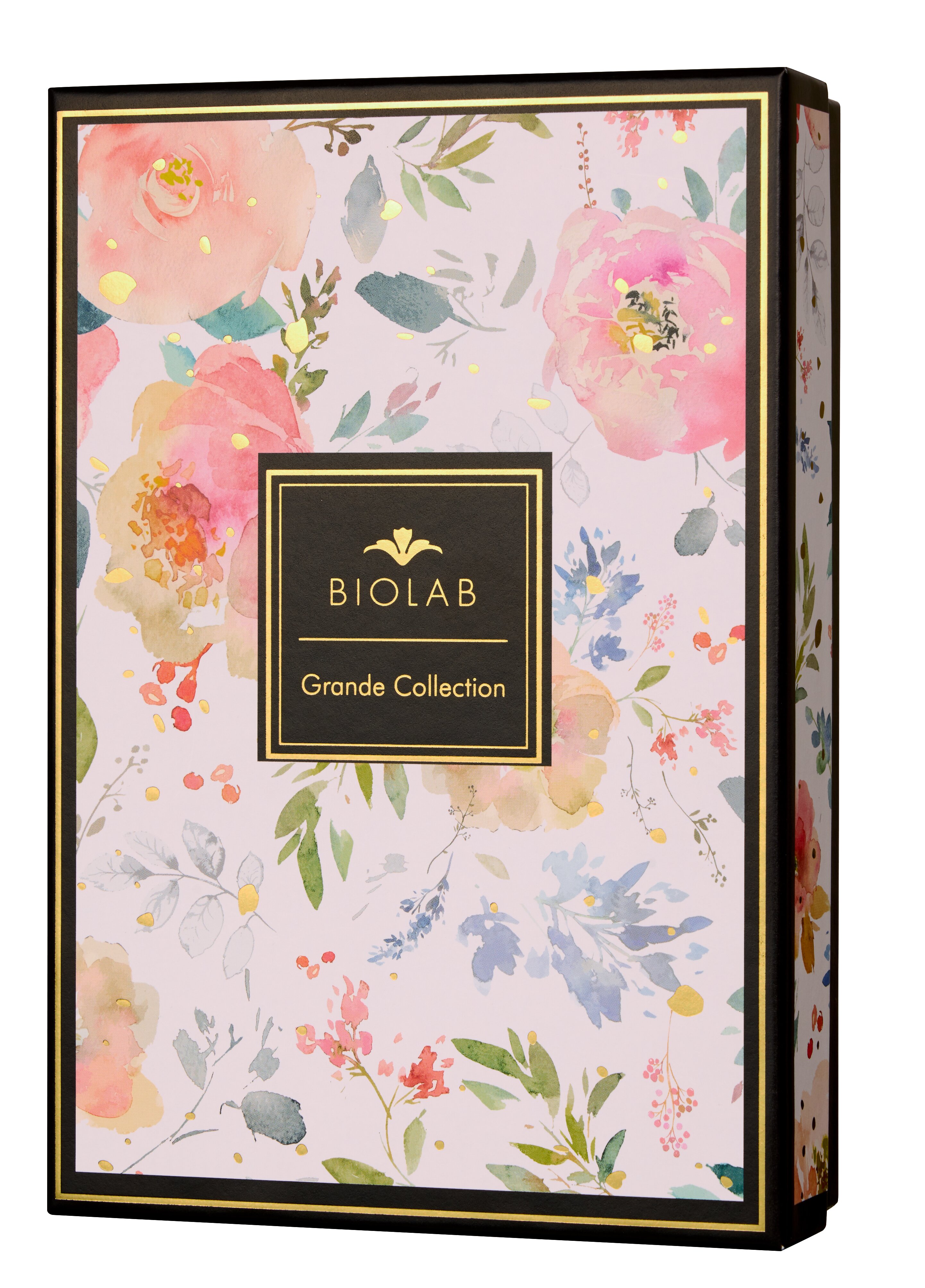 グランコレクション 2024年版