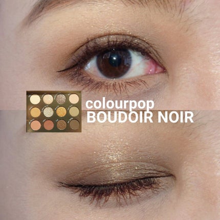 BOUDOIR NOIR/ColourPop/アイシャドウパレットを使ったクチコミ(1枚目)