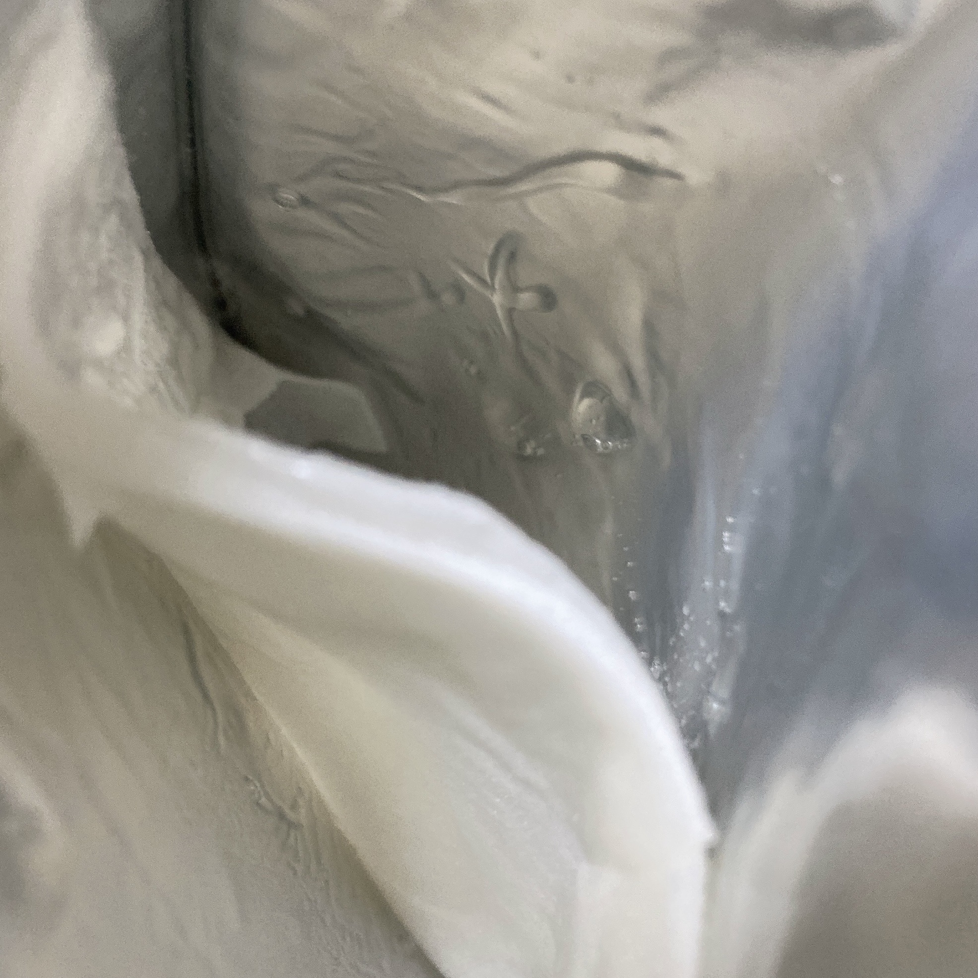 Pore Control Royal Jelly/MASK DIARY/シートマスク・パックを使ったクチコミ（2枚目）