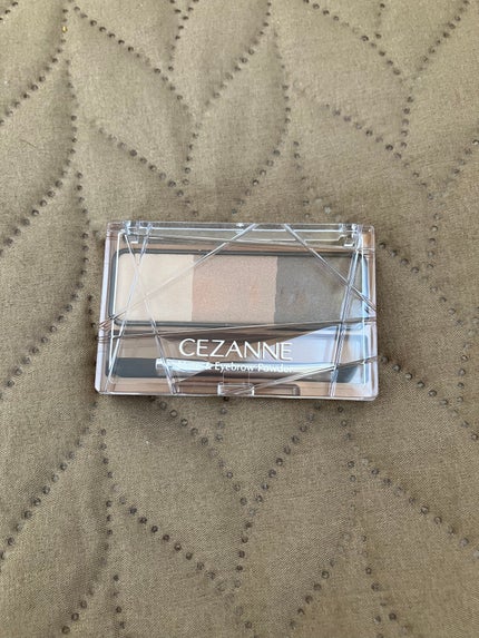 ノーズ&アイブロウパウダー/CEZANNE/パウダーアイブロウを使ったクチコミ(1枚目)