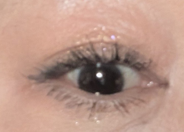 アイシャドウパレット/Kirei&co./アイシャドウパレットを使ったクチコミ（2枚目）