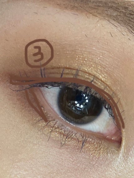 アイカラーレーション/LUNASOL/アイシャドウパレットを使ったクチコミ(6枚目)