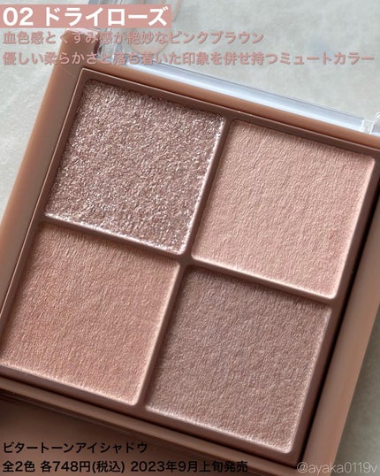 ビタートーンアイシャドウ/CEZANNE/パウダーアイシャドウを使ったクチコミ(6枚目)