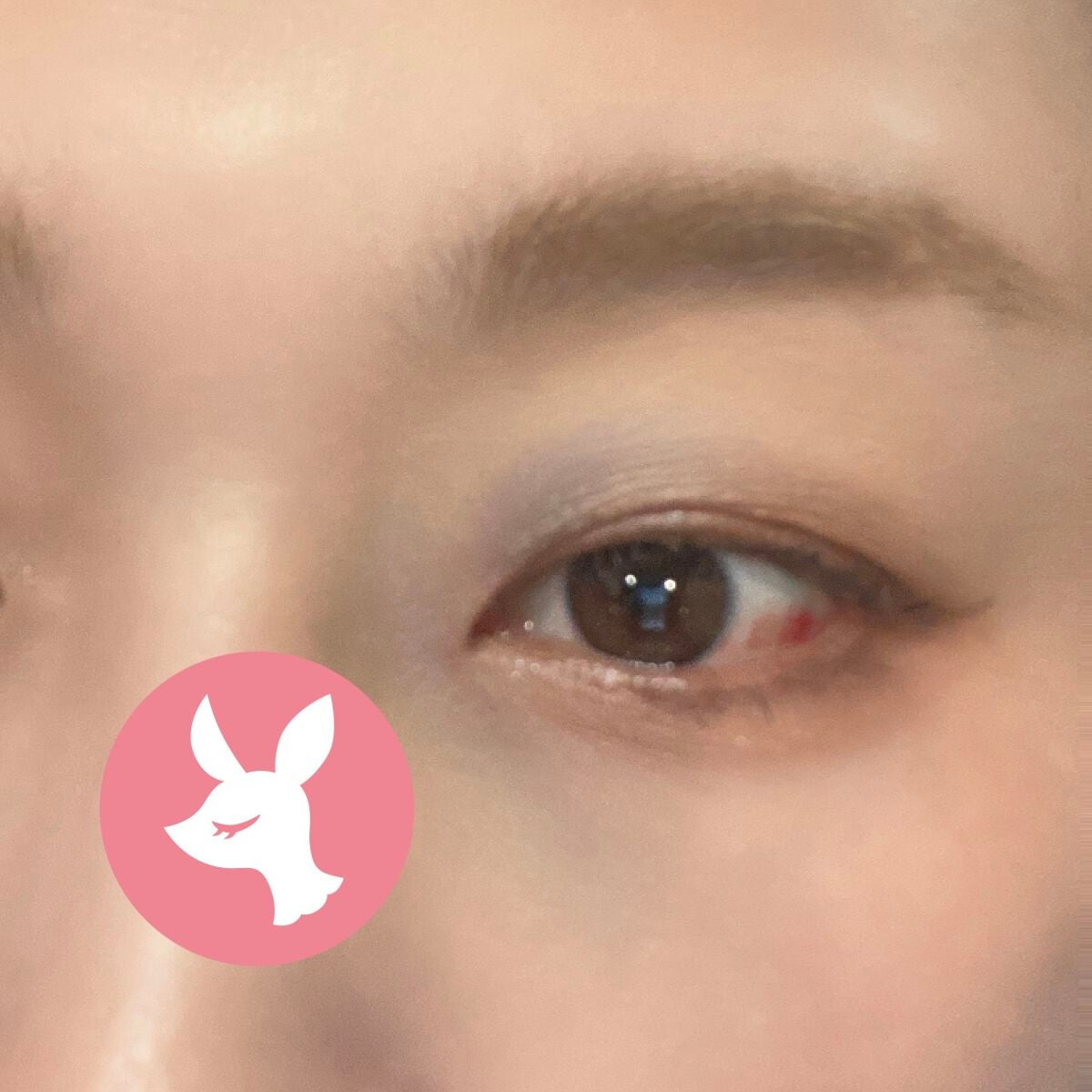 3番 ノーファンデ陶器肌トーンアップクリーム/numbuzin/化粧下地を使ったクチコミ(2枚目)