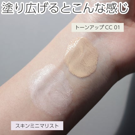 ザ スキン ミニマリスト/DECORTÉ/化粧下地を使ったクチコミ(5枚目)