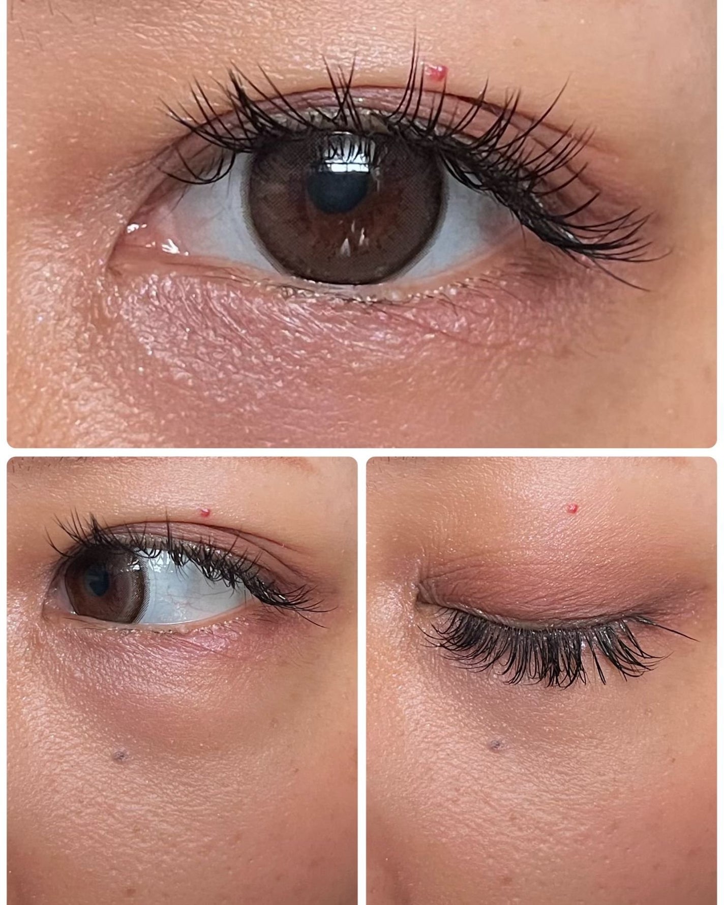 エバーカラーワンデー ナチュラル/エバーカラー/ワンデー(1DAY)カラコンを使ったクチコミ(4枚目)