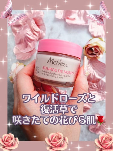 Melvita ソルスデローズ クリームのクチコミ「Melvitaソルスデローズ クリーム

ピンクの薔薇の香りクリーム🌹

ローズの原種ワイルド.....」（1枚目）