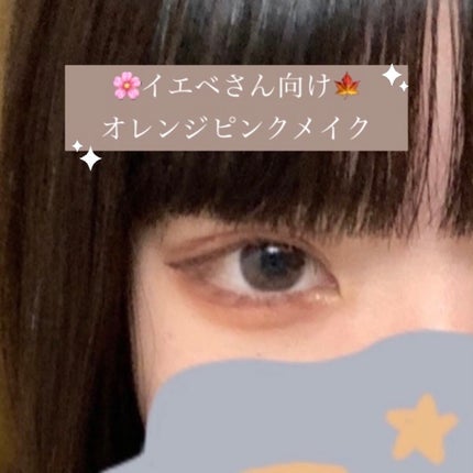ラスティングリキッドライナー/キャンメイク/リキッドアイライナーを使ったクチコミ(1枚目)