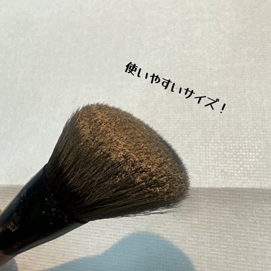 アートクラスバイロダン シェーディング 1 クラシック/too cool for school/シェーディングを使ったクチコミ（2枚目）