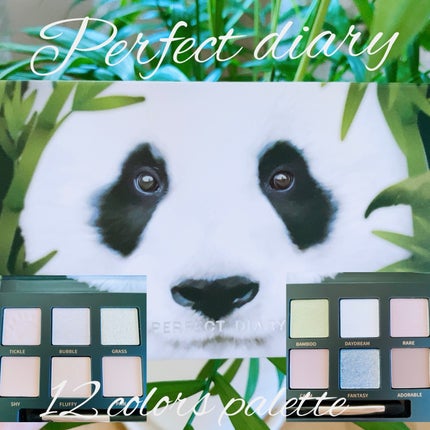エクスプローラ12色 動物アイシャドウパレット/PERFECT DIARY/アイシャドウパレットを使ったクチコミ(1枚目)