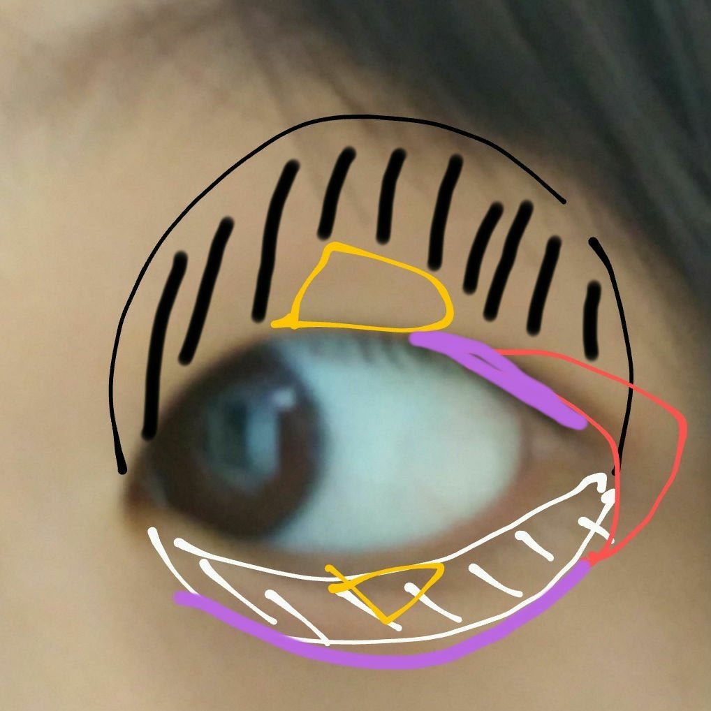 구름_くも☁️🖤 on LIPS 「こんにちは!구름_くも☁️です!今日は、毎日メイクを紹介します..」(2枚目)