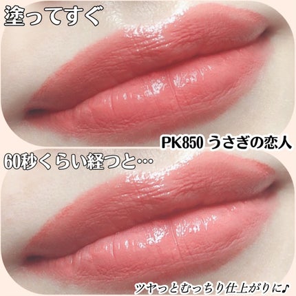 ネンマクフェイク ルージュ/Visée/口紅を使ったクチコミ(4枚目)