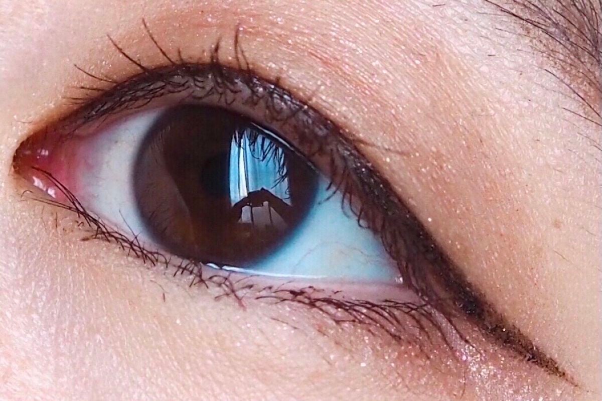 クチュールシャドーフォーアイズ/ブリリアージュ/ジェル・クリームアイシャドウを使ったクチコミ(5枚目)