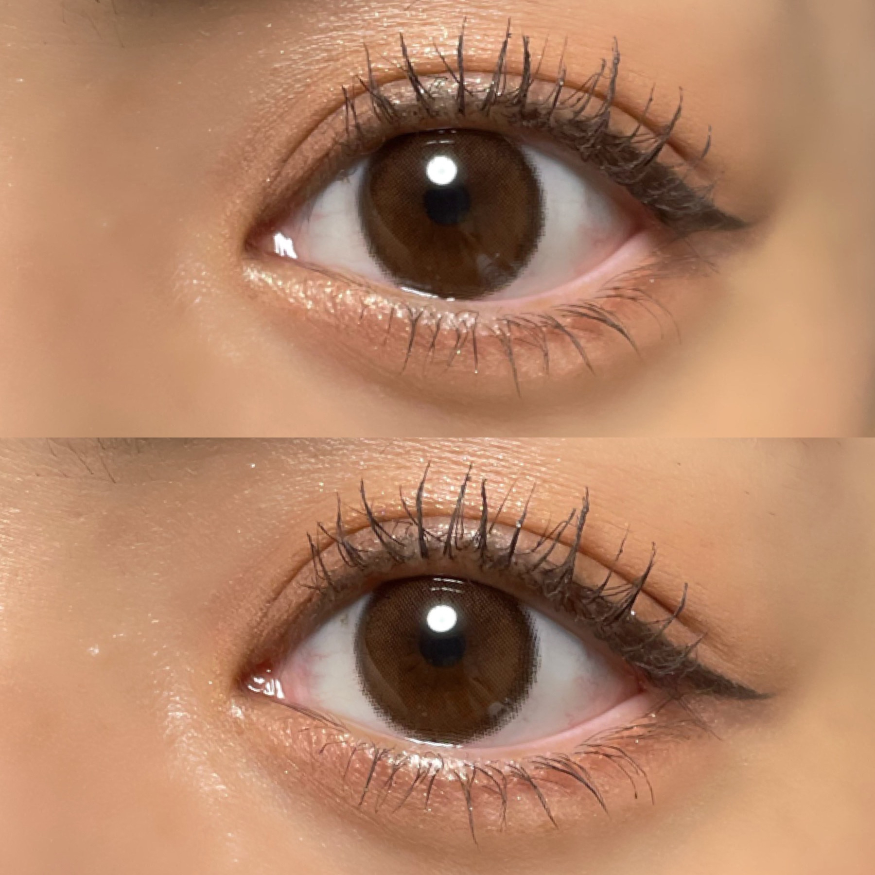 ViVi Ring 1day/OLENS/ワンデー（１DAY）カラコンを使ったクチコミ（3枚目）