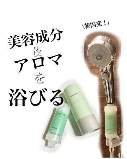 シャワーフィルター/H201/シャワーヘッドを使ったクチコミ(1枚目)