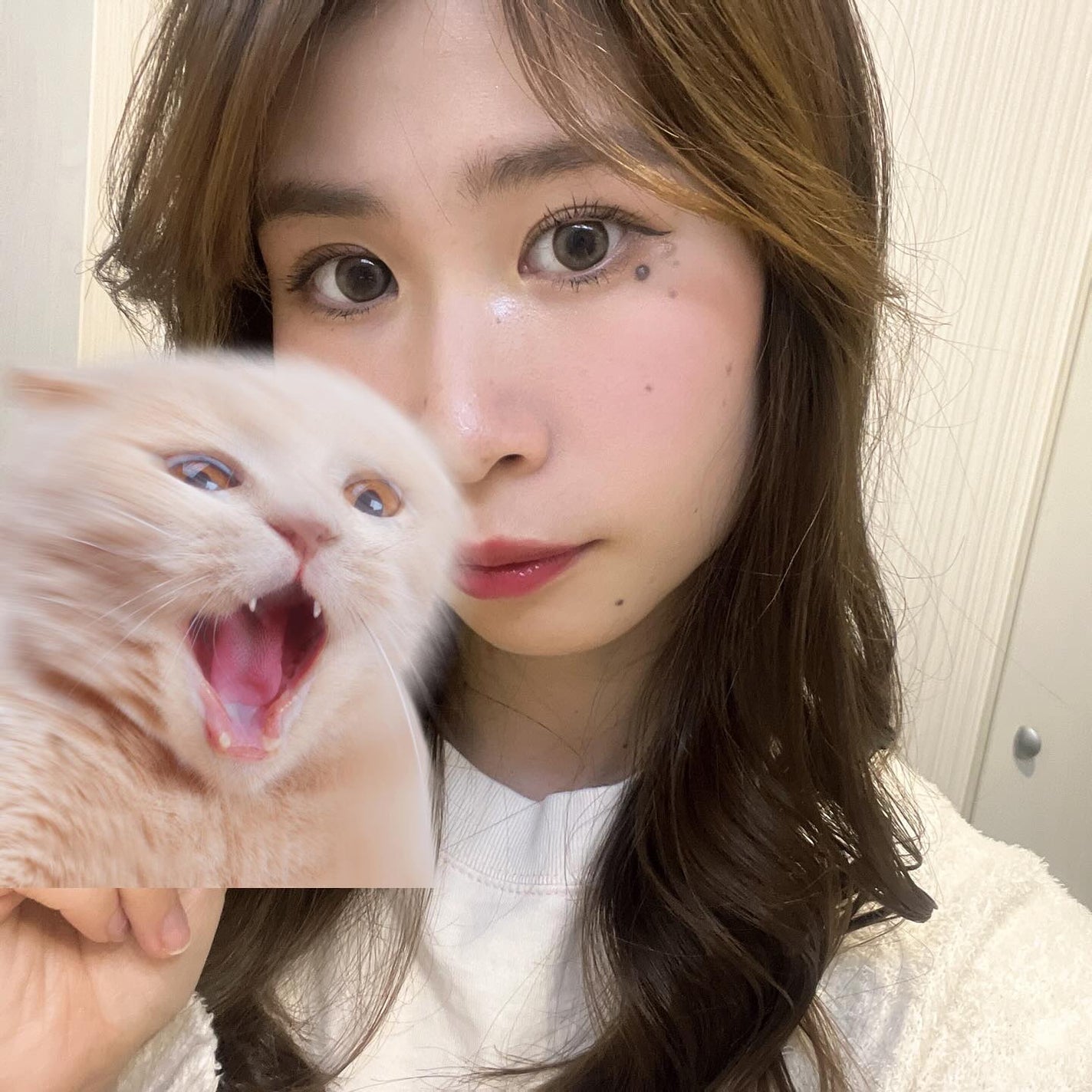 ラッシュガーディアン アングラヴィティマスカラ/LASHGUARDIAN/マスカラを使ったクチコミ(5枚目)