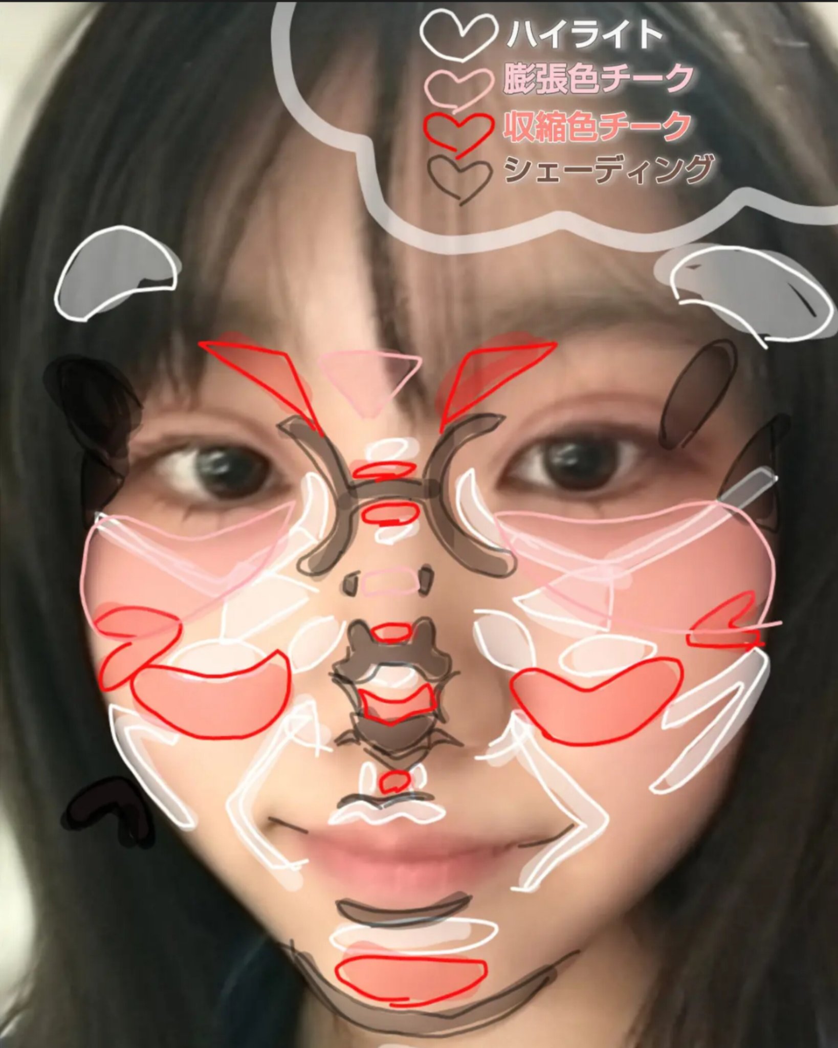 グロウフルールチークス/キャンメイク/パウダーチークを使ったクチコミ（2枚目）