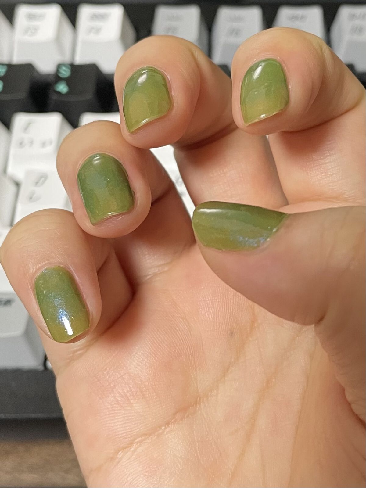 ネイルポリッシュ 08 リーフガーデン/sopo/マニキュアを使ったクチコミ（1枚目）