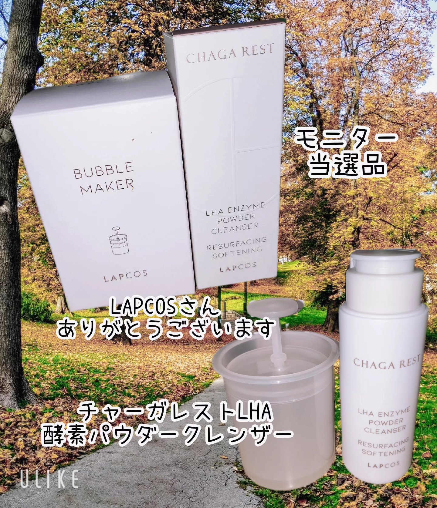 チャーガレストLHA酵素パウダークレンザー/ラプコス/洗顔パウダーを使ったクチコミ（1枚目）