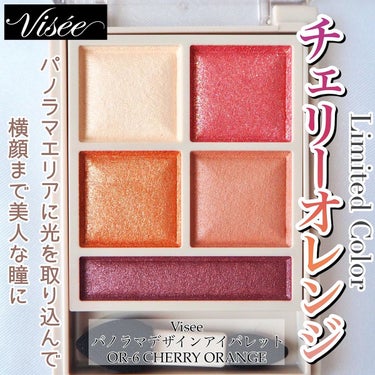 パノラマデザイン アイパレット/Visée/パウダーアイシャドウを使ったクチコミ（1枚目）