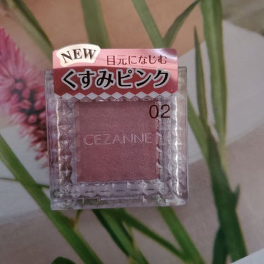 シングルカラーアイシャドウ/CEZANNE/パウダーアイシャドウを使ったクチコミ（1枚目）