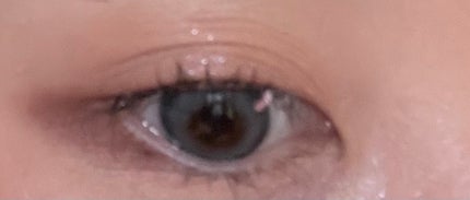 ビタートーンアイシャドウ/CEZANNE/パウダーアイシャドウを使ったクチコミ(2枚目)