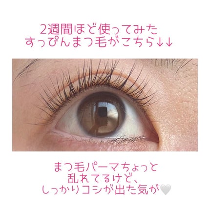 スカルプD ボーテ ピュアフリーアイラッシュセラム プレミアム/アンファー(スカルプD)/まつげ美容液を使ったクチコミ(2枚目)