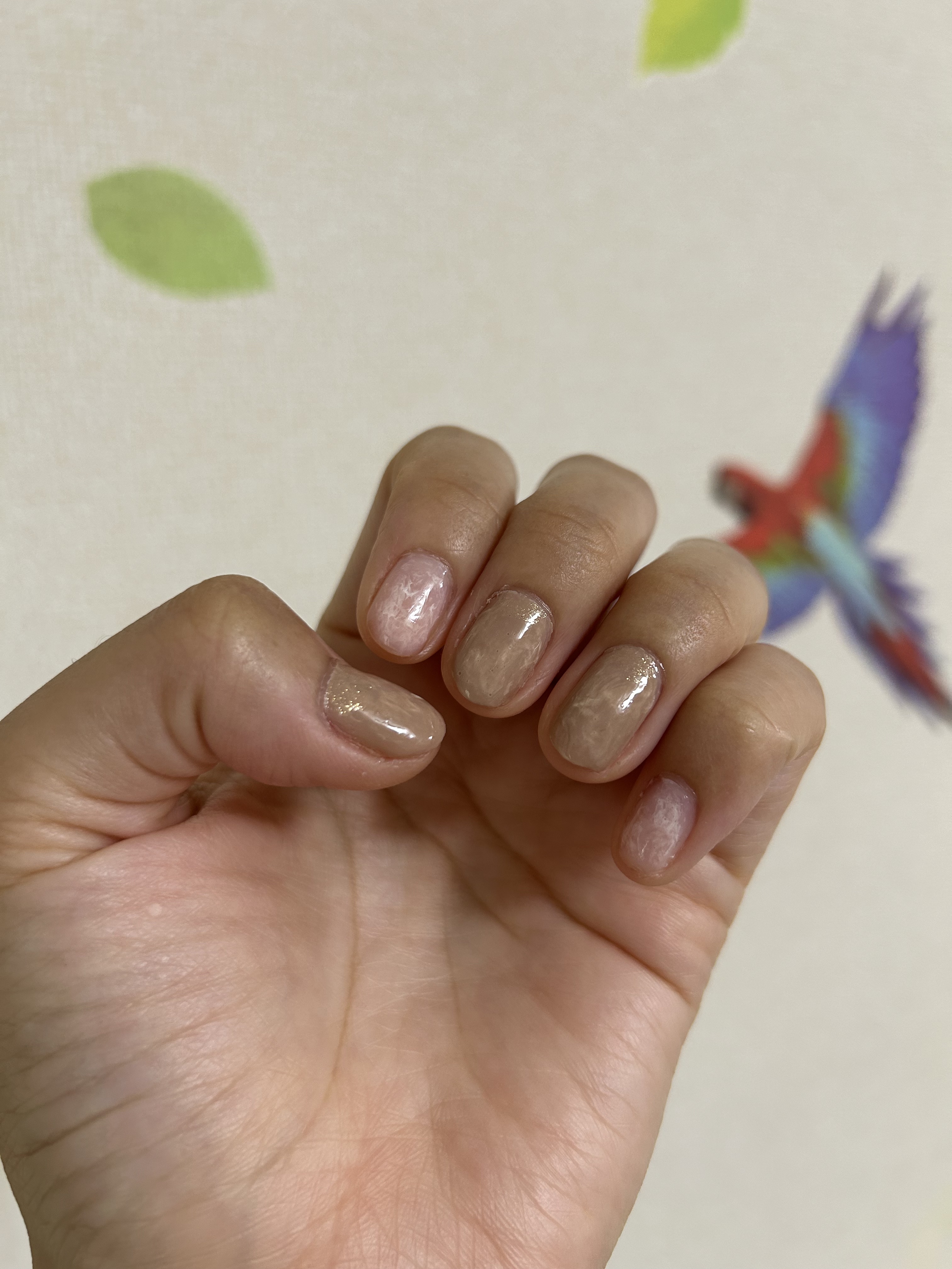 カラフルネイルズ/キャンメイク/マニキュアを使ったクチコミ（3枚目）