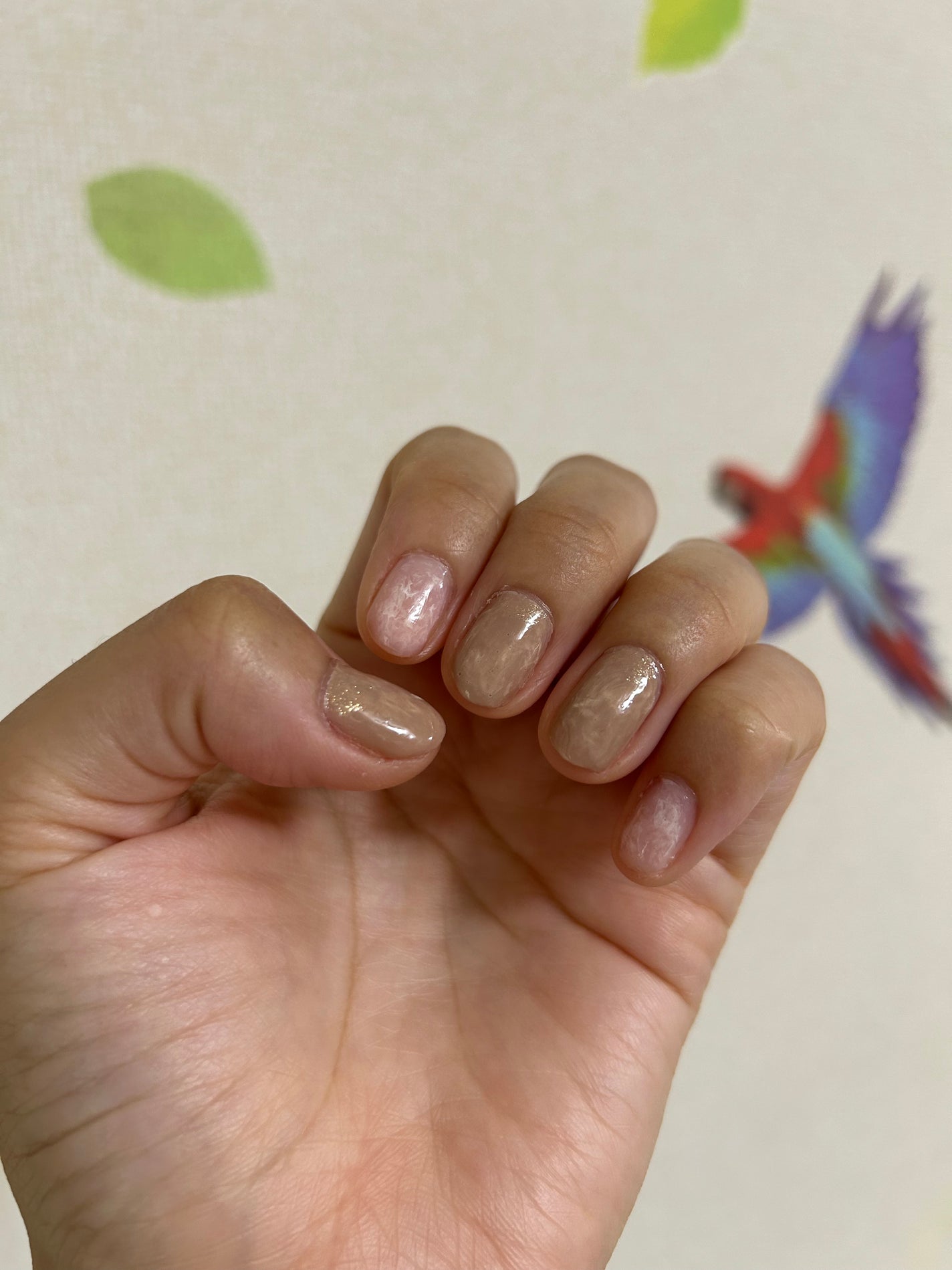 カラフルネイルズ/キャンメイク/マニキュアを使ったクチコミ(3枚目)