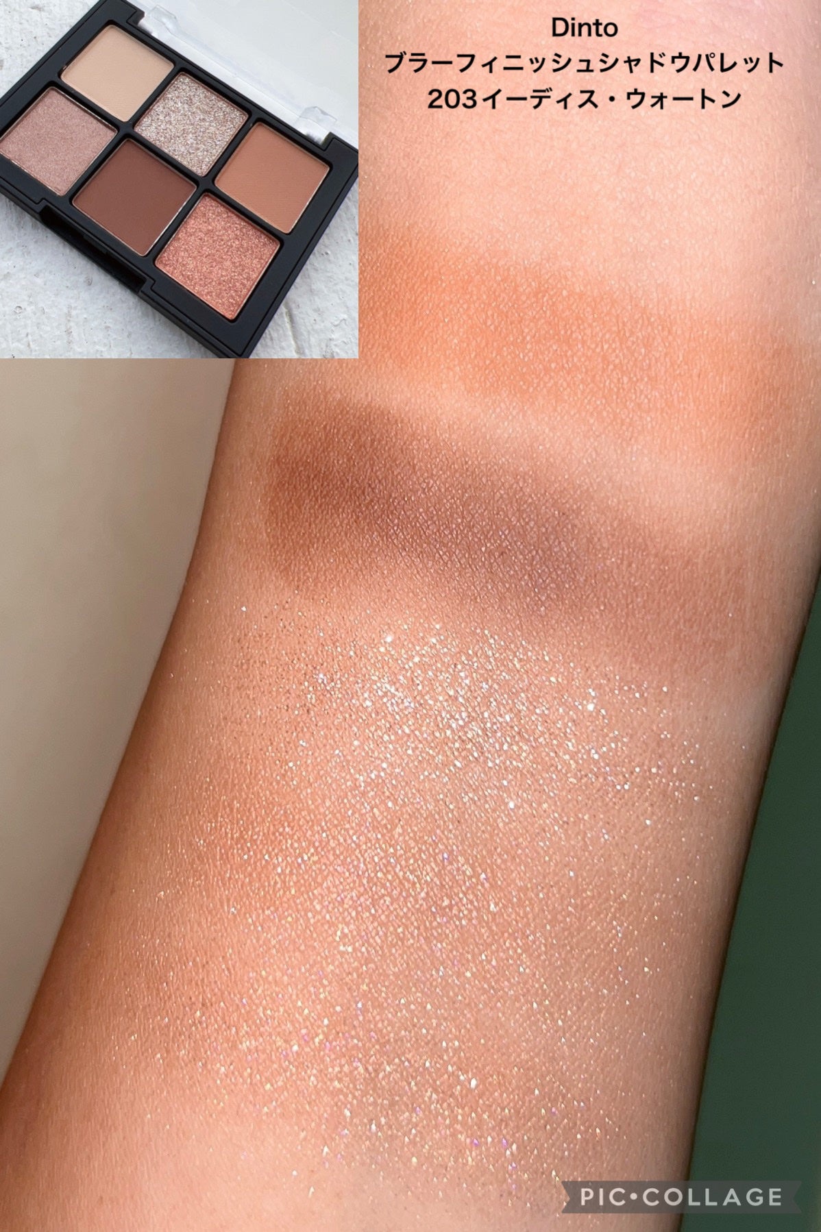 ブラーフィニシュシャドウパレット/Dinto/アイシャドウパレットを使ったクチコミ(2枚目)