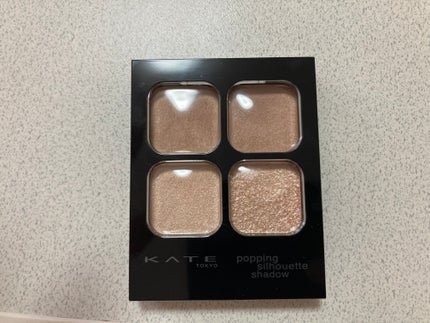 ケイト ポッピングシルエットシャドウ/KATE/アイシャドウパレットを使ったクチコミ(1枚目)