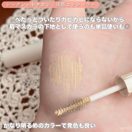 淡眉コンシーラー/シークレットサロン/眉マスカラを使ったクチコミ(3枚目)