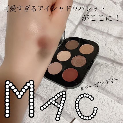 コネクト イン カラー アイシャドウ パレット × 6/M・A・C/アイシャドウパレットを使ったクチコミ(1枚目)